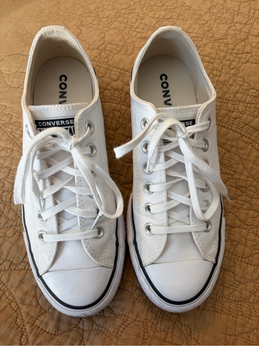 Converse White Low Top Canvas Sneakers